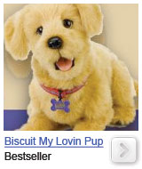 biscuit my lovin pup