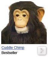 cuddle chimp