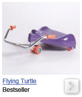 flying turtle