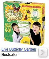live butterfly garden