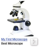 my first microscope