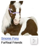 smores pony